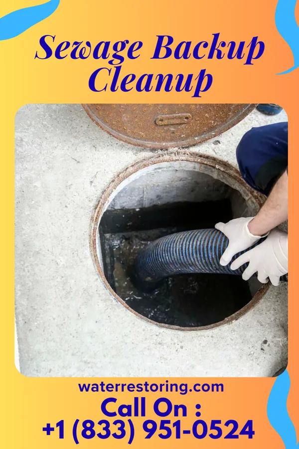 Sewage Backup Cleanup in Akeley, MN